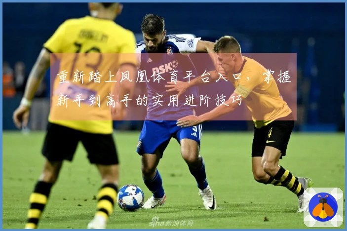 重新踏上凤凰体育平台入口，掌握新手到高手的实用进阶技巧