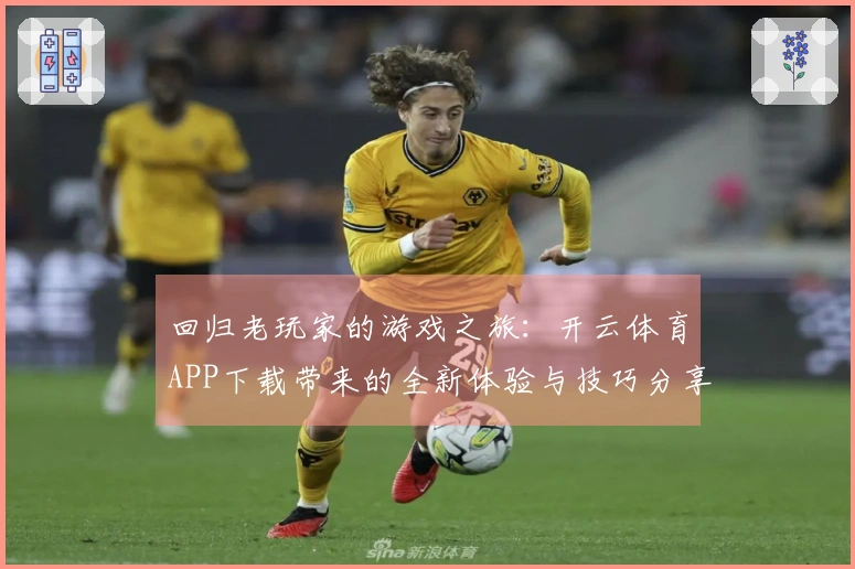 回归老玩家的游戏之旅：开云体育APP下载带来的全新体验与技巧分享