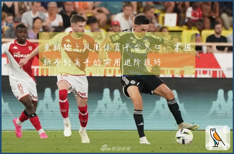 重新踏上凤凰体育平台入口，掌握新手到高手的实用进阶技巧