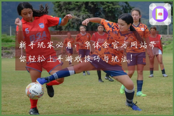 新手玩家必看，华体会官方网站带你轻松上手游戏技巧与玩法！